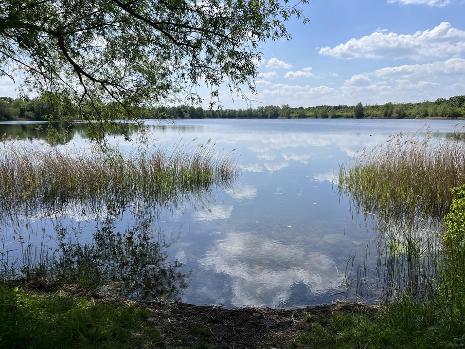 Vereinssee Giften TG WASPO