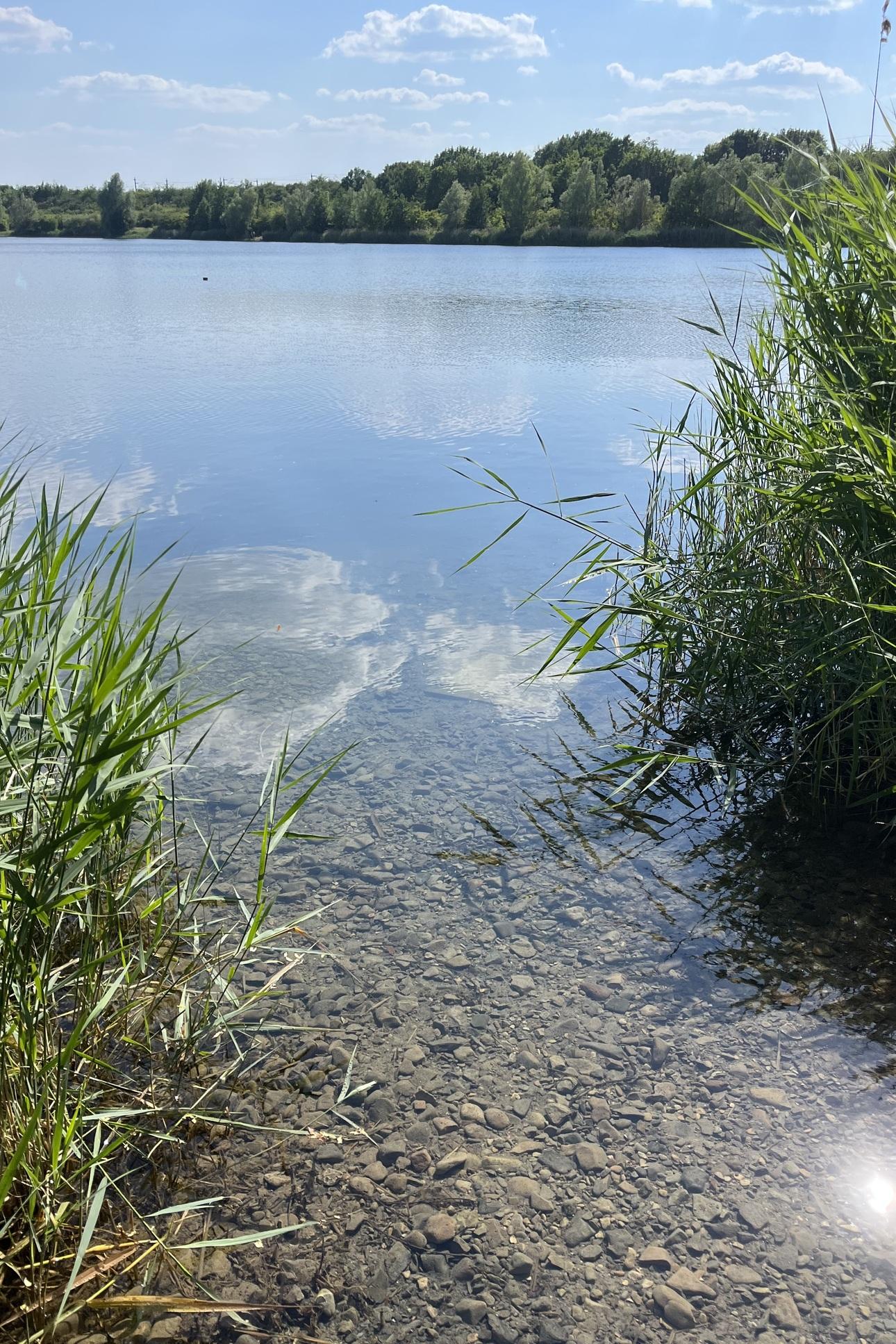 Vereinssee Giften TG WASPO